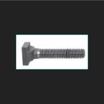 T Bolt M12 X 70
